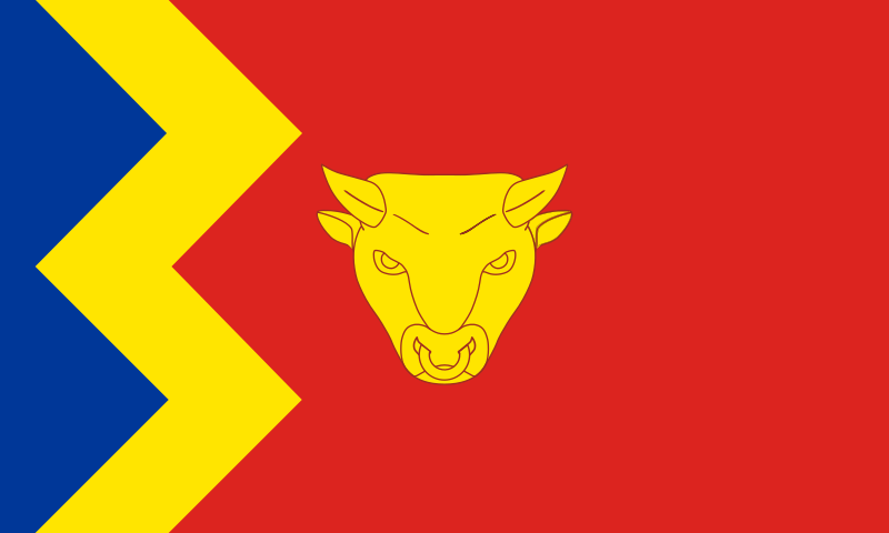 The flag of Birmingham (2015)
